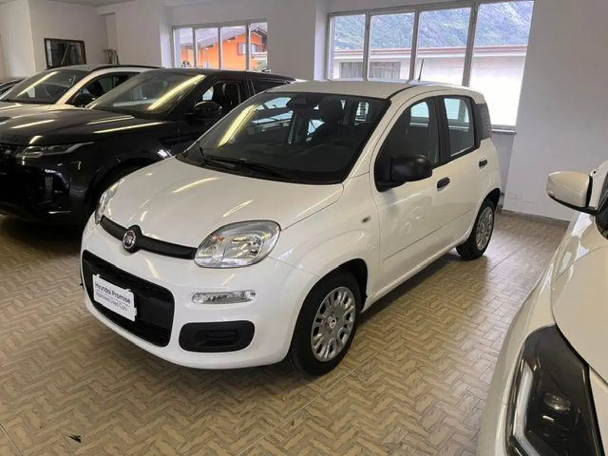Fiat Pandina nuova a Verbano Cusio Ossola (4)