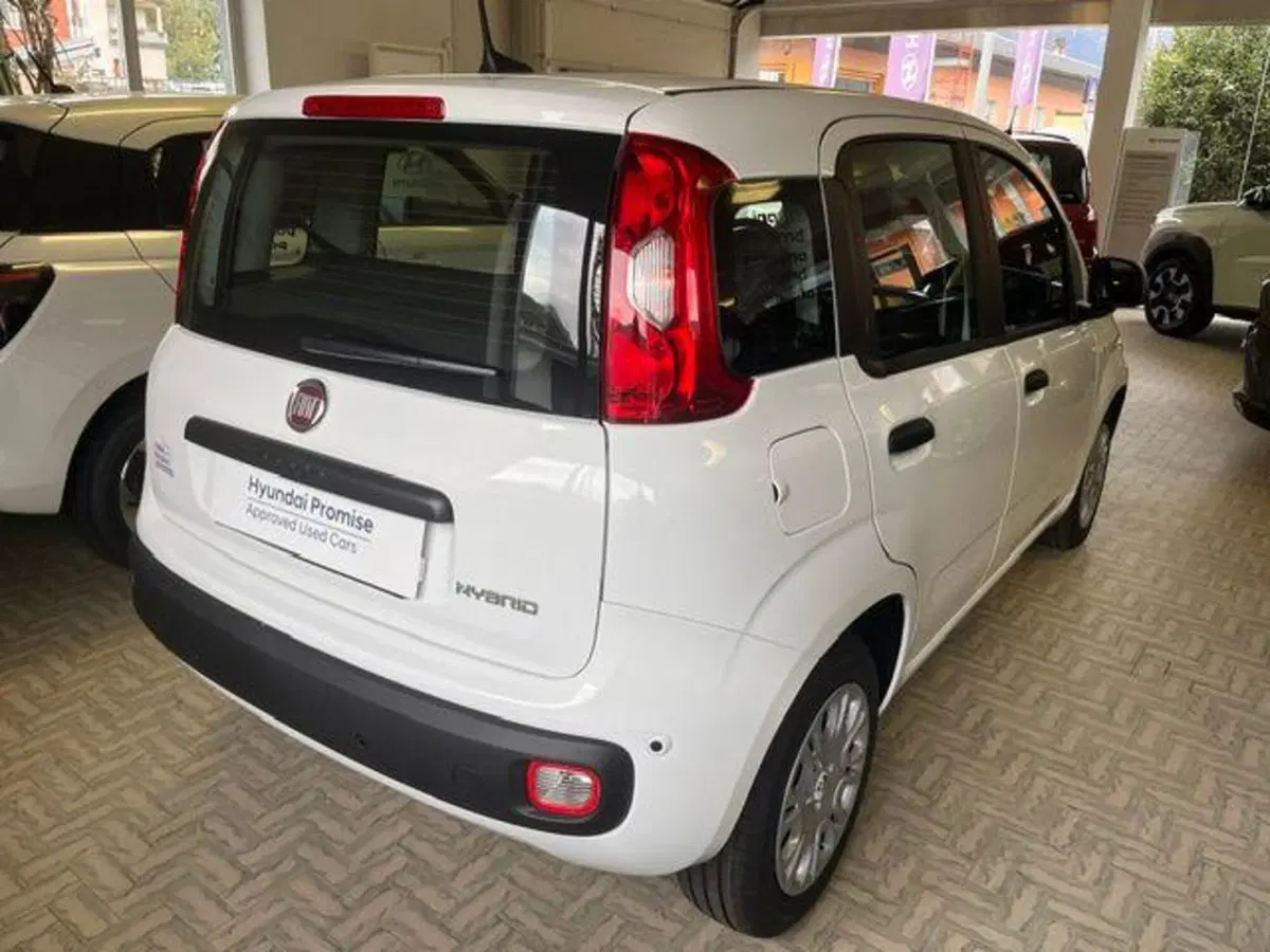 Fiat Pandina nuova a Verbano Cusio Ossola (5)