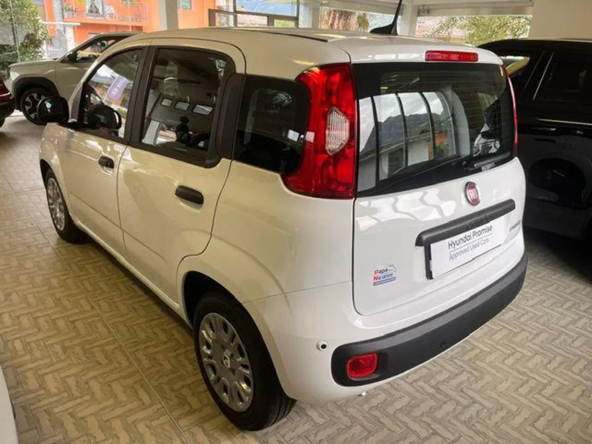 Fiat Pandina nuova a Verbano Cusio Ossola (6)