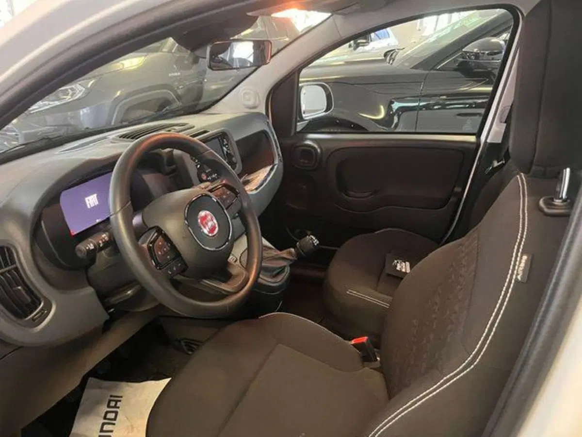 Fiat Pandina nuova a Verbano Cusio Ossola (8)