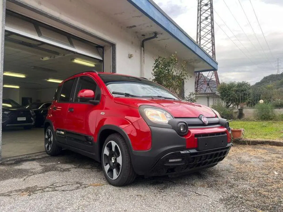 Fiat Pandina nuova a Verbano Cusio Ossola (2)