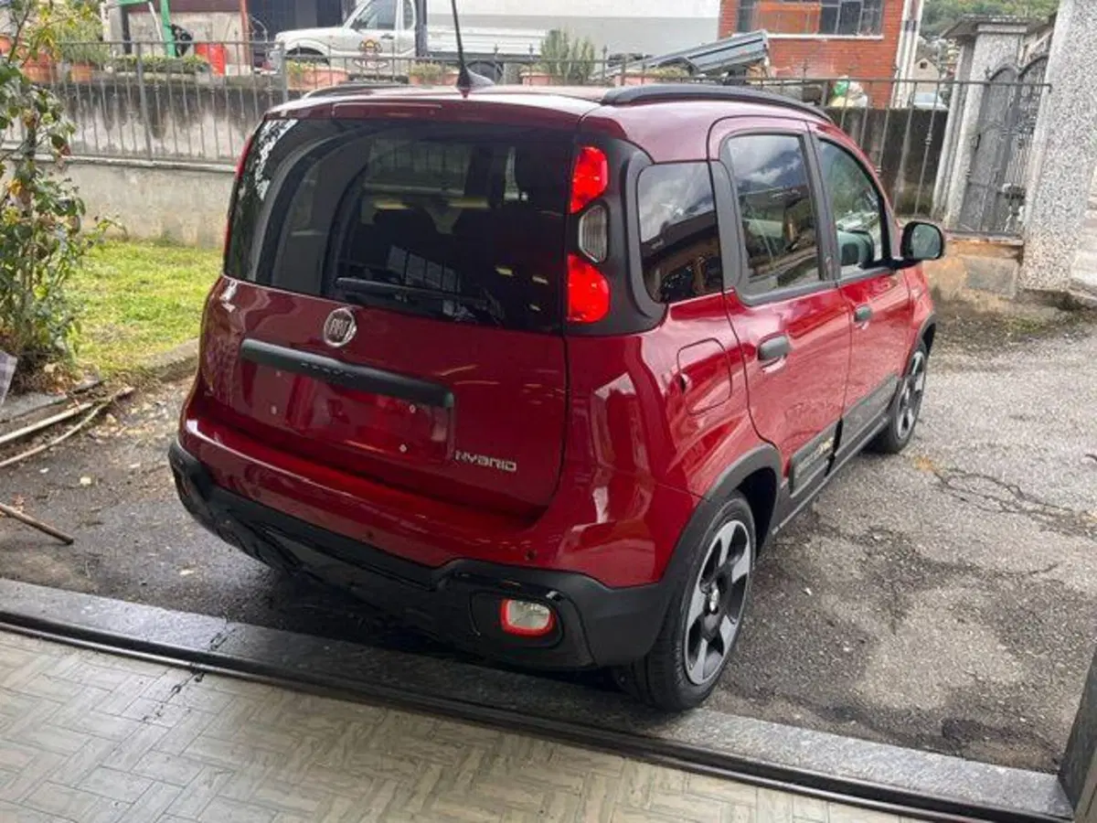 Fiat Pandina nuova a Verbano Cusio Ossola (8)