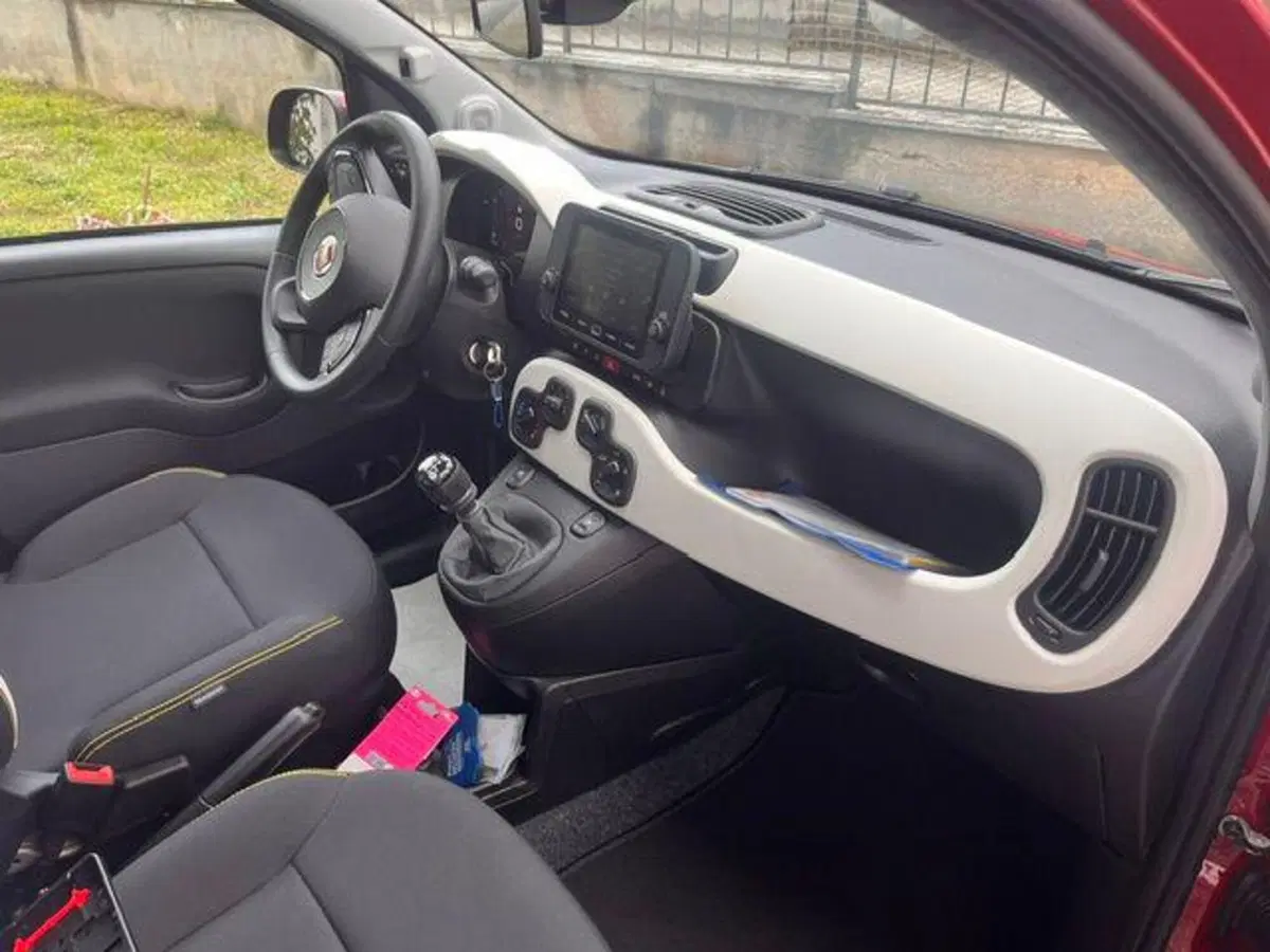 Fiat Pandina nuova a Verbano Cusio Ossola (9)