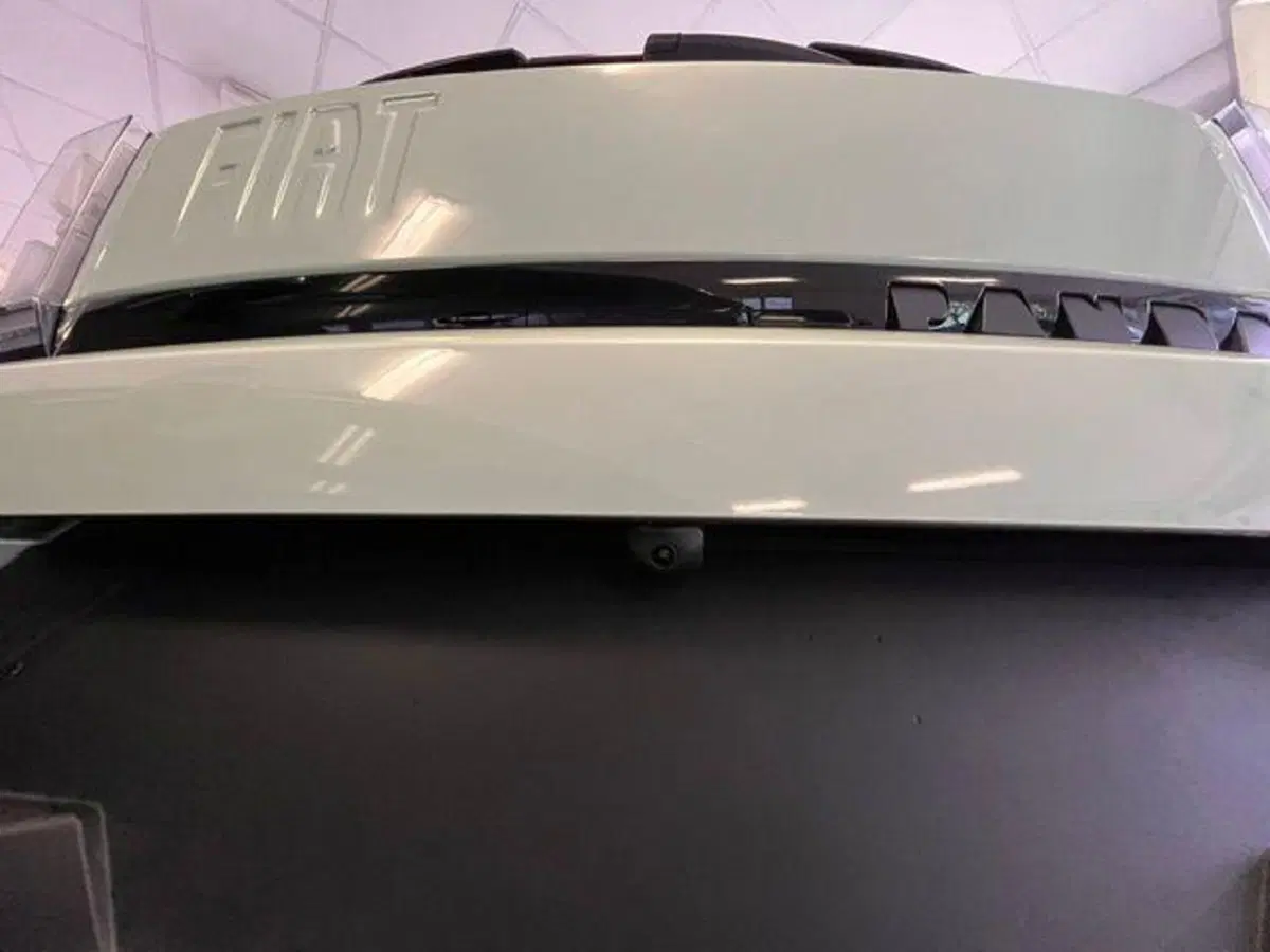 Fiat Grande Panda nuova a Verbano Cusio Ossola (11)