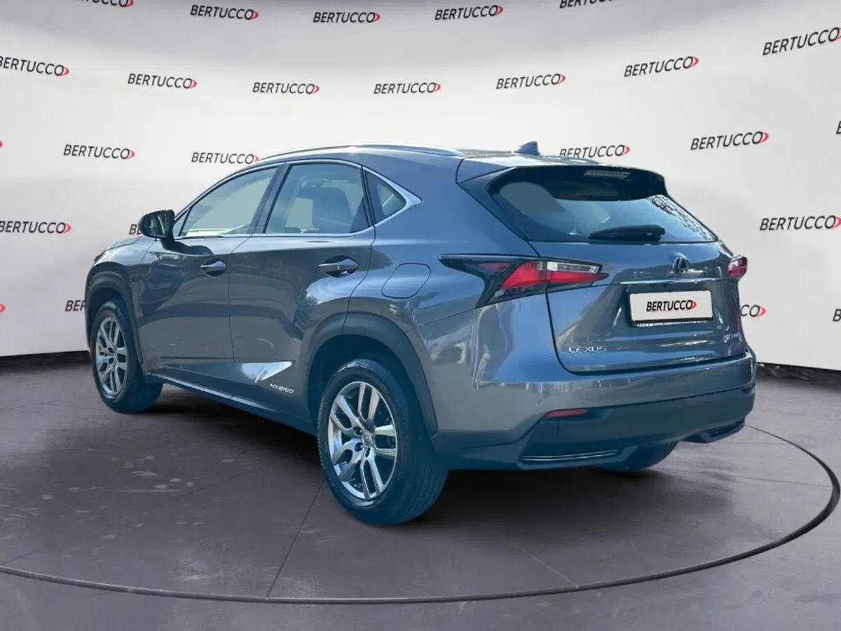 Lexus NX usata a Verona (3)