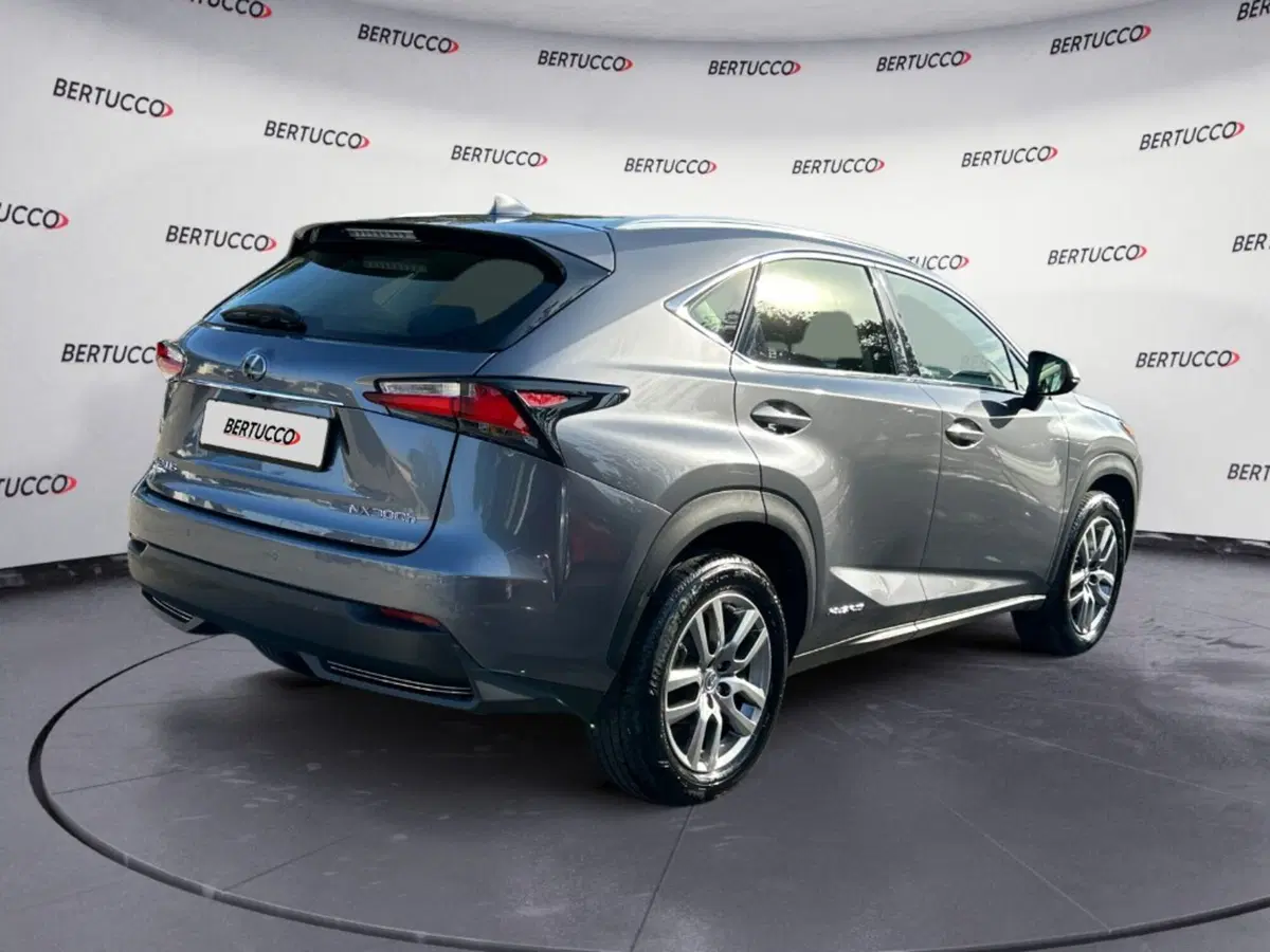 Lexus NX usata a Verona (4)