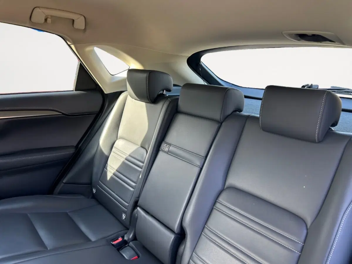 Lexus NX usata a Verona (9)