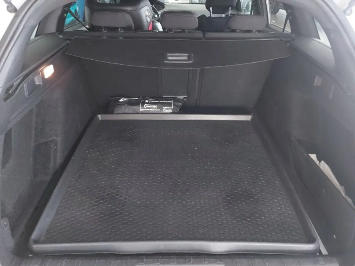 Peugeot 308 SW usata a Pordenone (14)