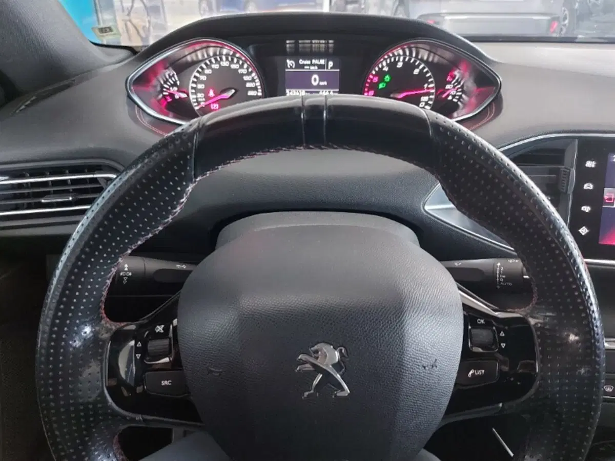 Peugeot 308 SW usata a Pordenone (17)