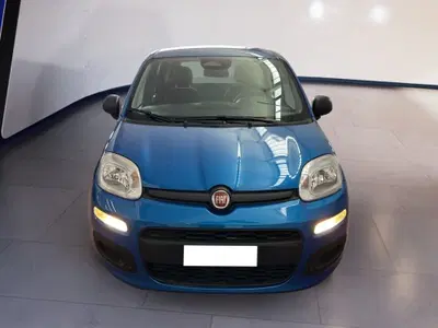 Fiat Pandina 1.0 firefly hybrid s&s 70cv del 2025 usata a Torino