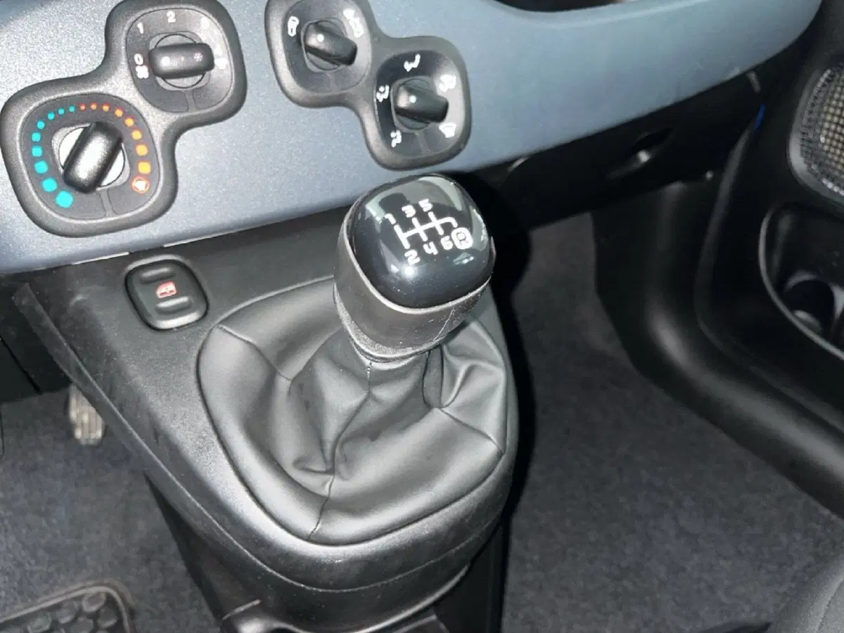 Fiat Pandina usata a Torino (12)