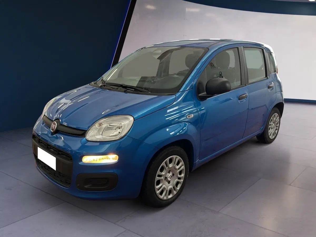 Fiat Pandina usata a Torino (2)