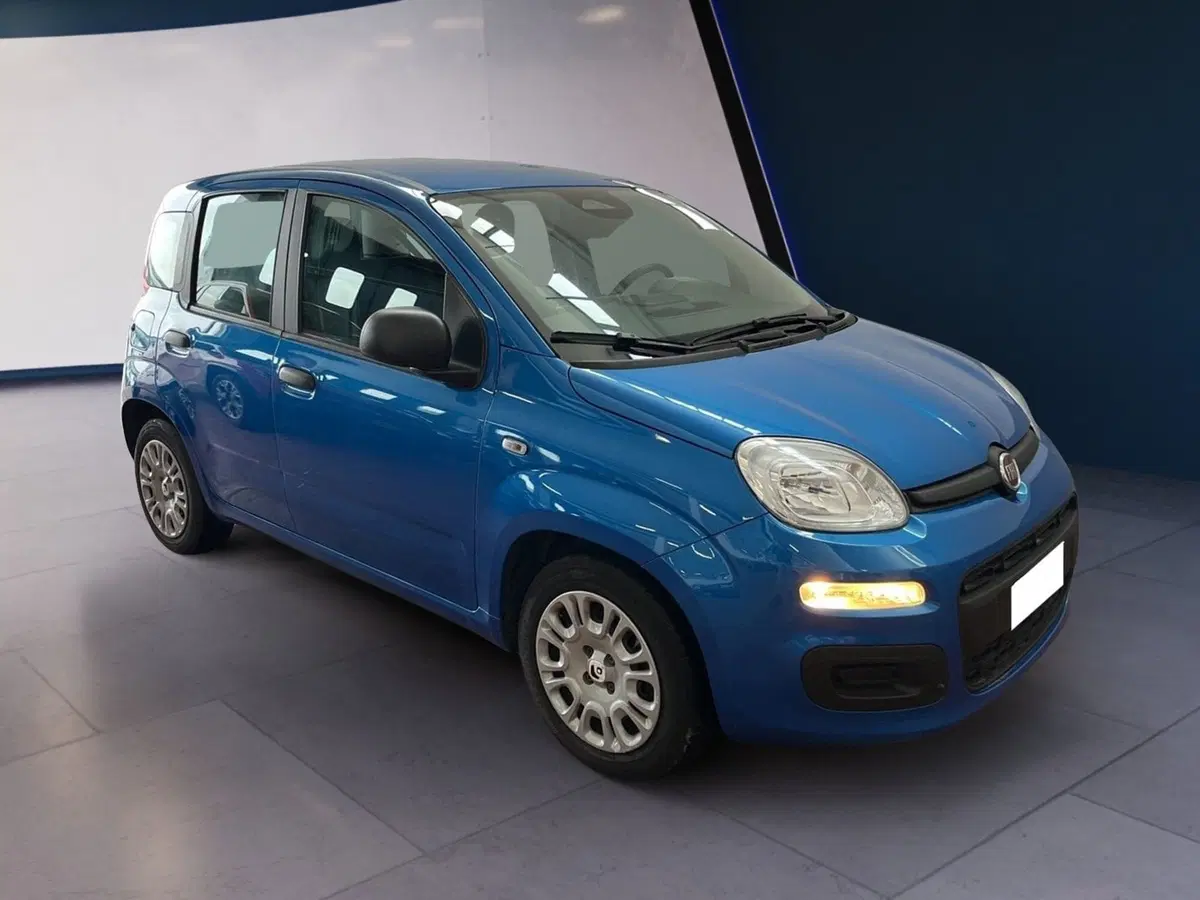 Fiat Pandina usata a Torino (3)