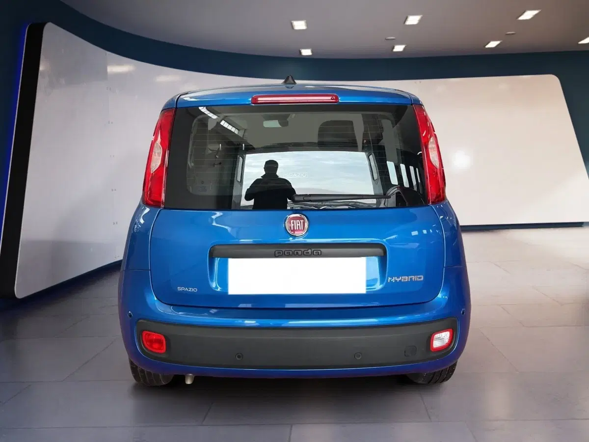 Fiat Pandina usata a Torino (5)