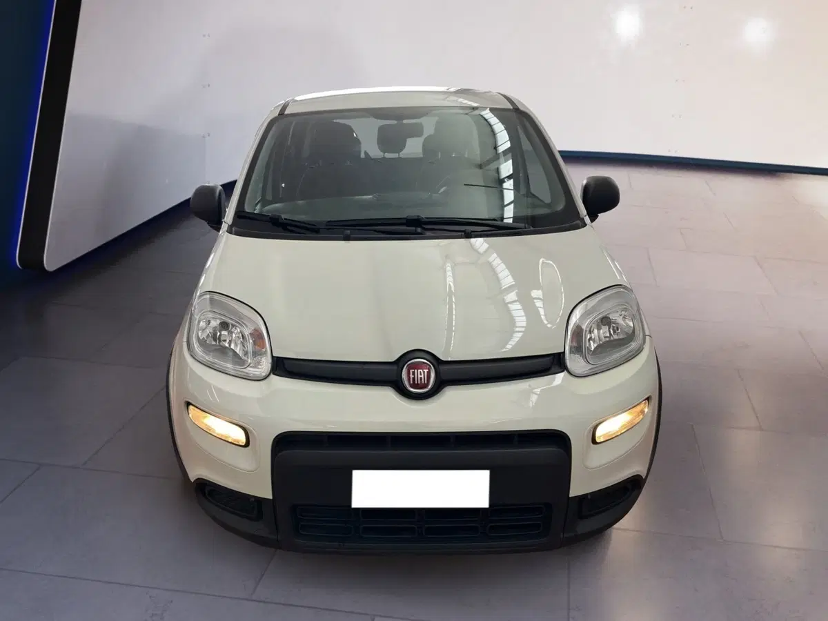 Fiat Panda usata a Torino