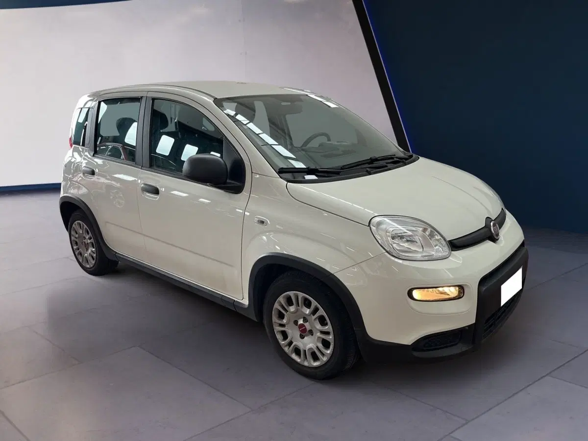 Fiat Panda usata a Torino (2)