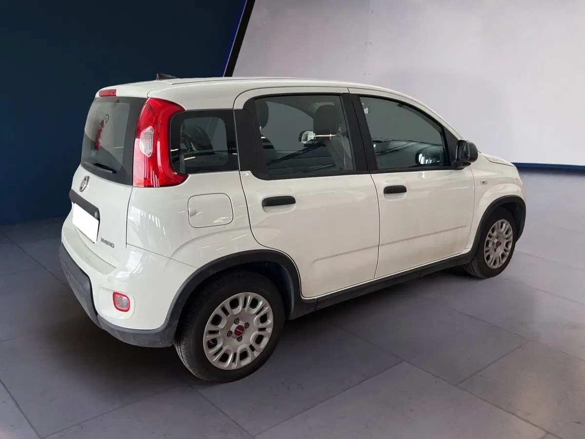 Fiat Panda usata a Torino (4)