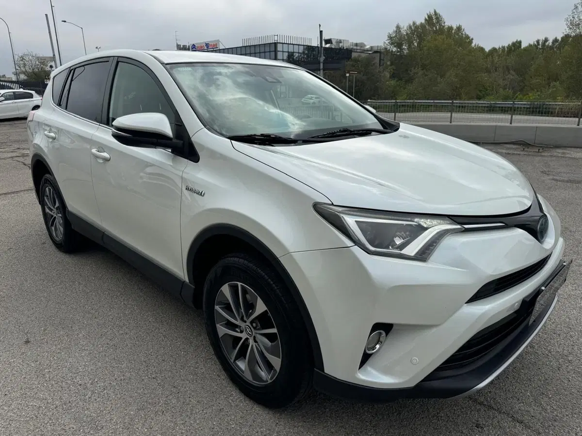 Toyota Rav4 usata a Modena (4)