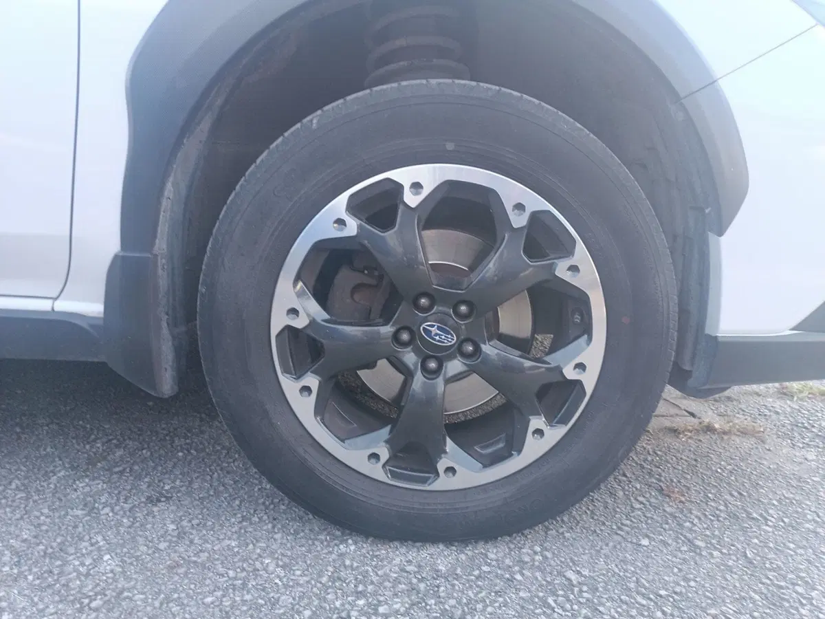 Subaru XV usata a Forlì-Cesena (19)