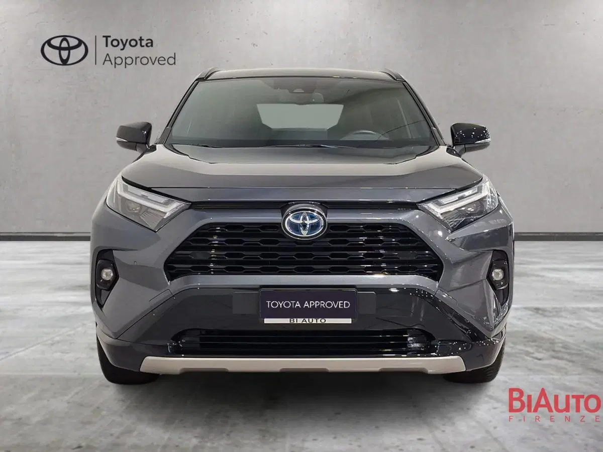 Toyota Rav4 usata a Firenze (13)