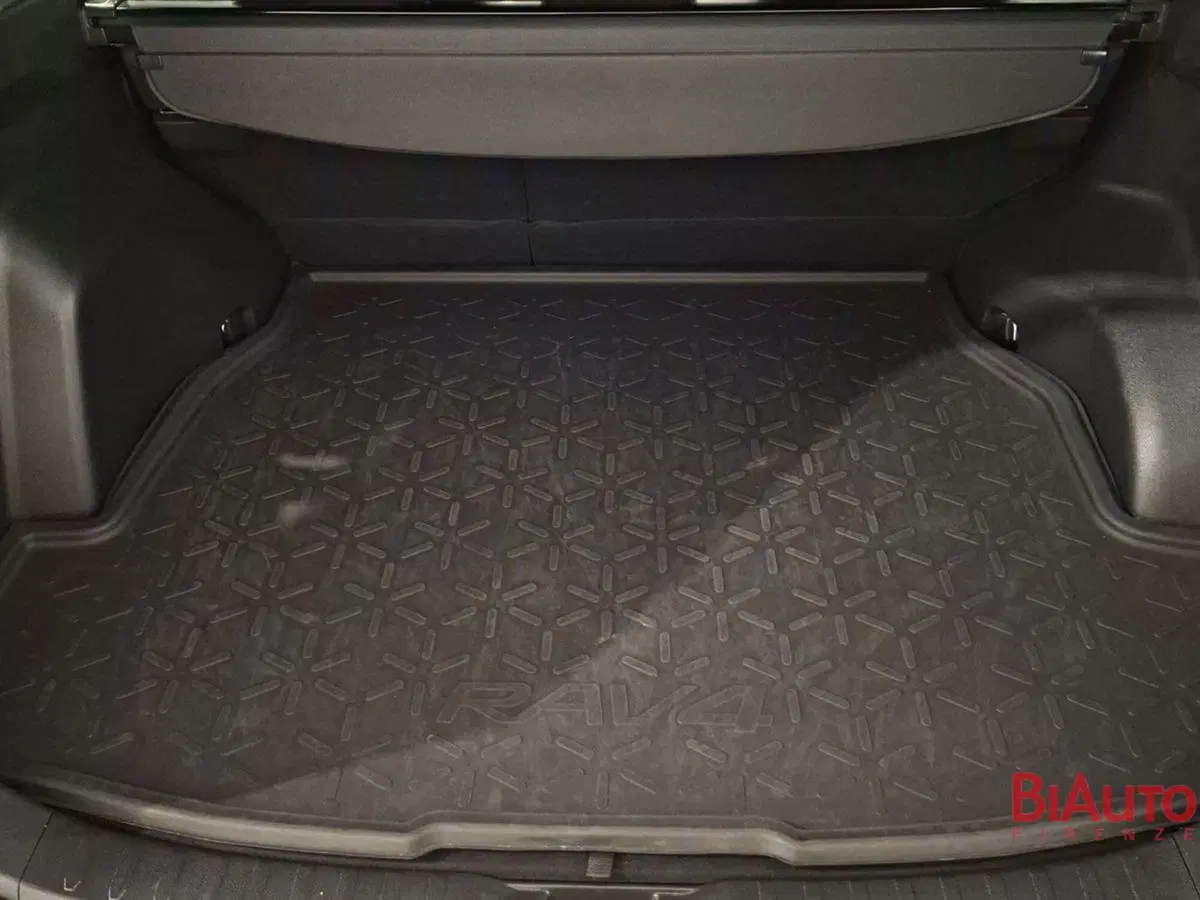 Toyota Rav4 usata a Firenze (6)