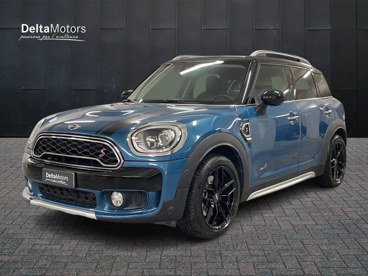 MINI Mini Countryman usata a Macerata