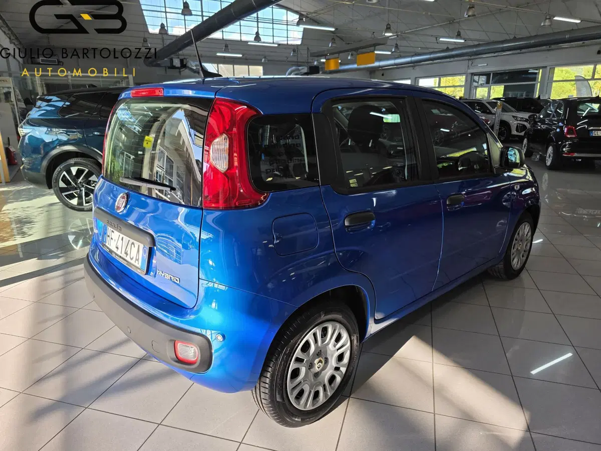 Fiat Panda nuova a Prato (4)