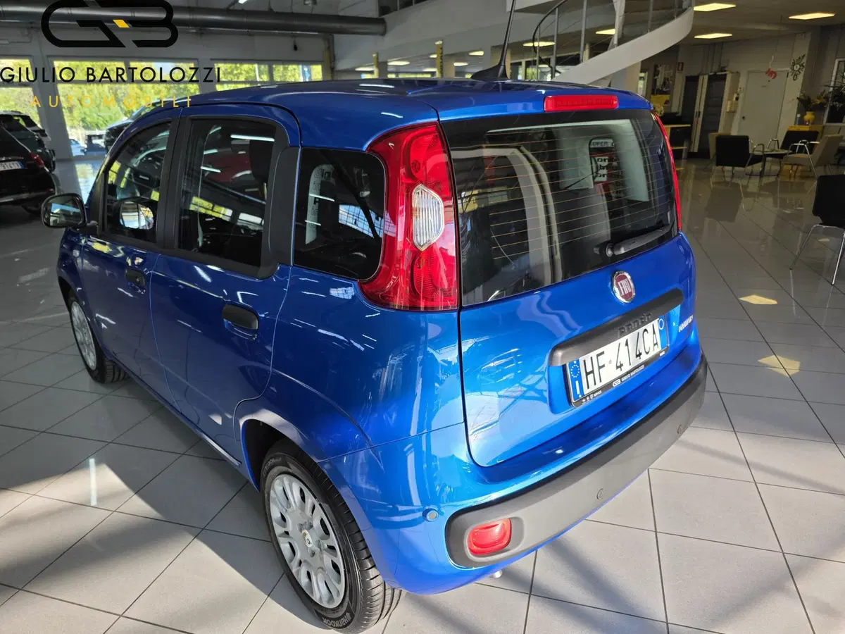 Fiat Panda nuova a Prato (6)