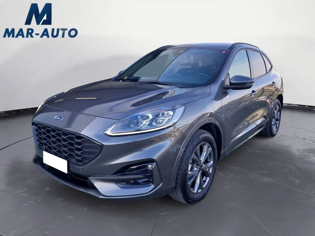 Ford Kuga usata a Treviso
