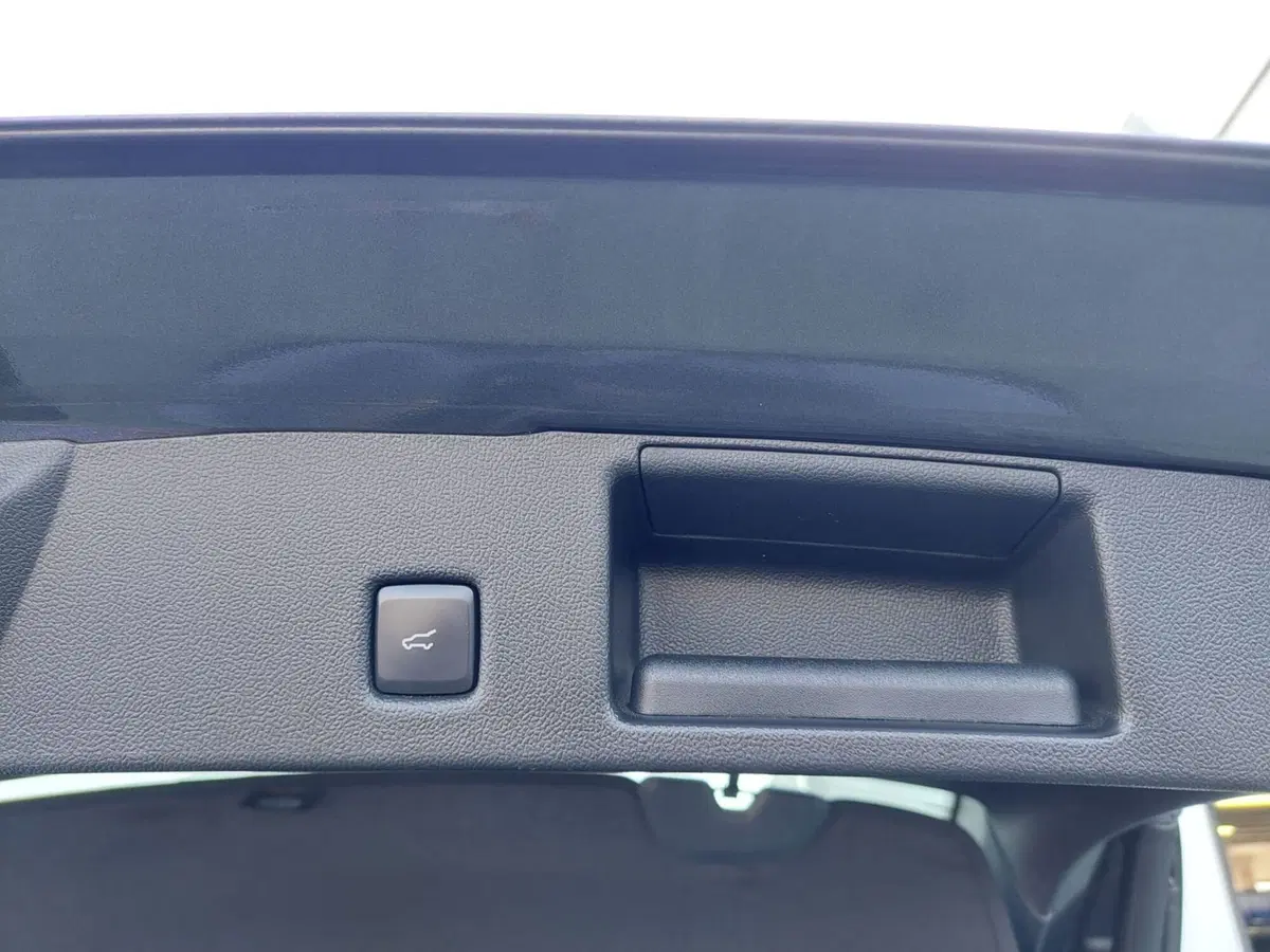 Ford Kuga usata a Treviso (19)