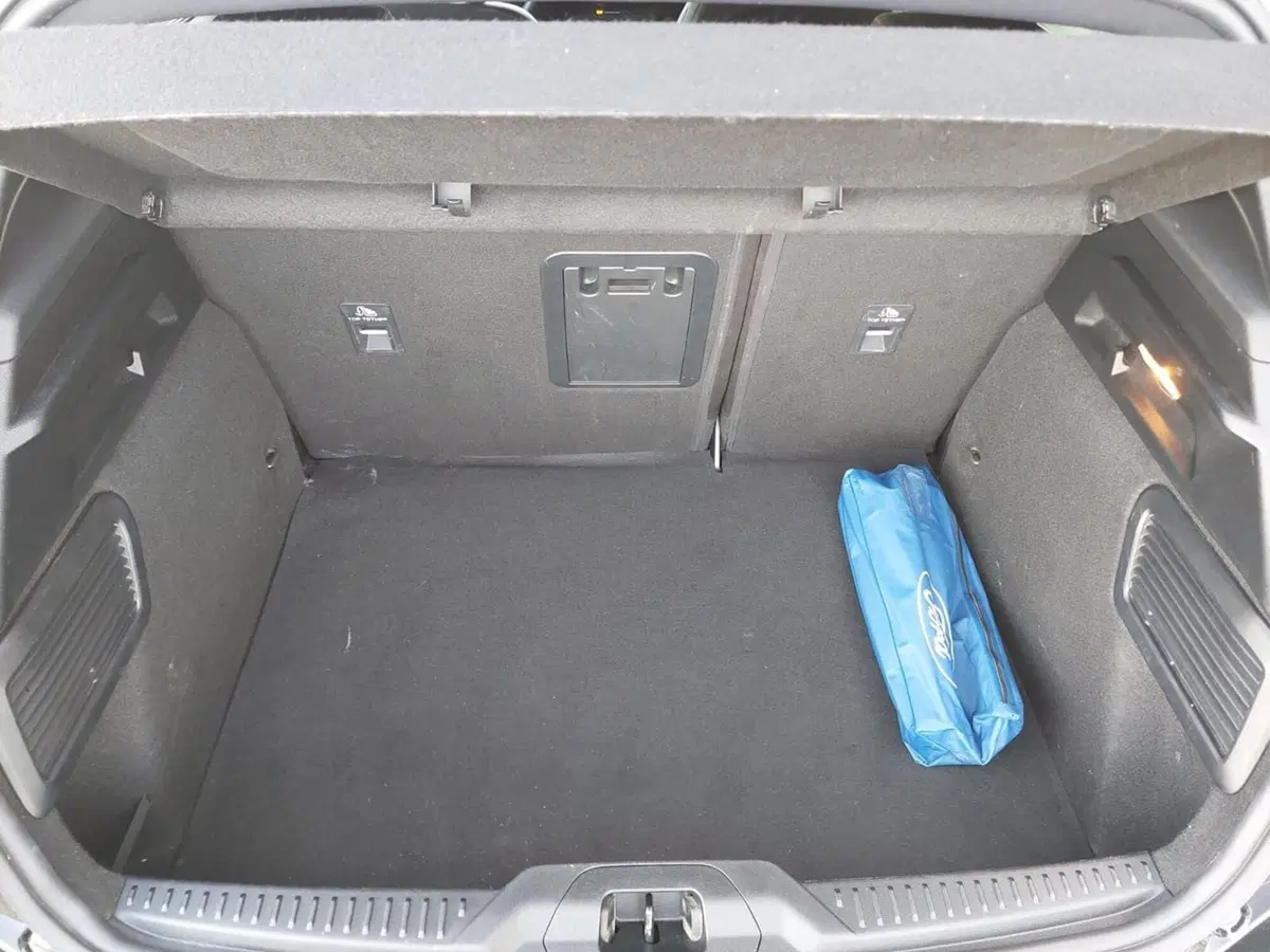 Ford Focus usata a Treviso (14)