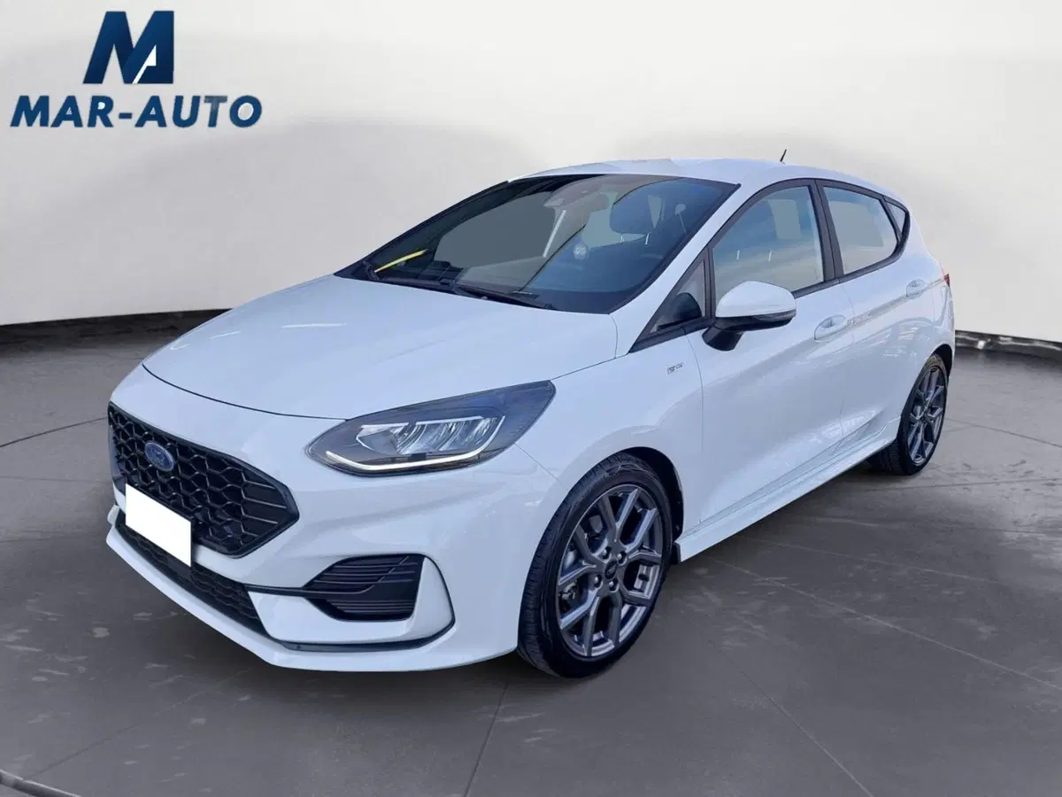 Ford Fiesta usata a Treviso