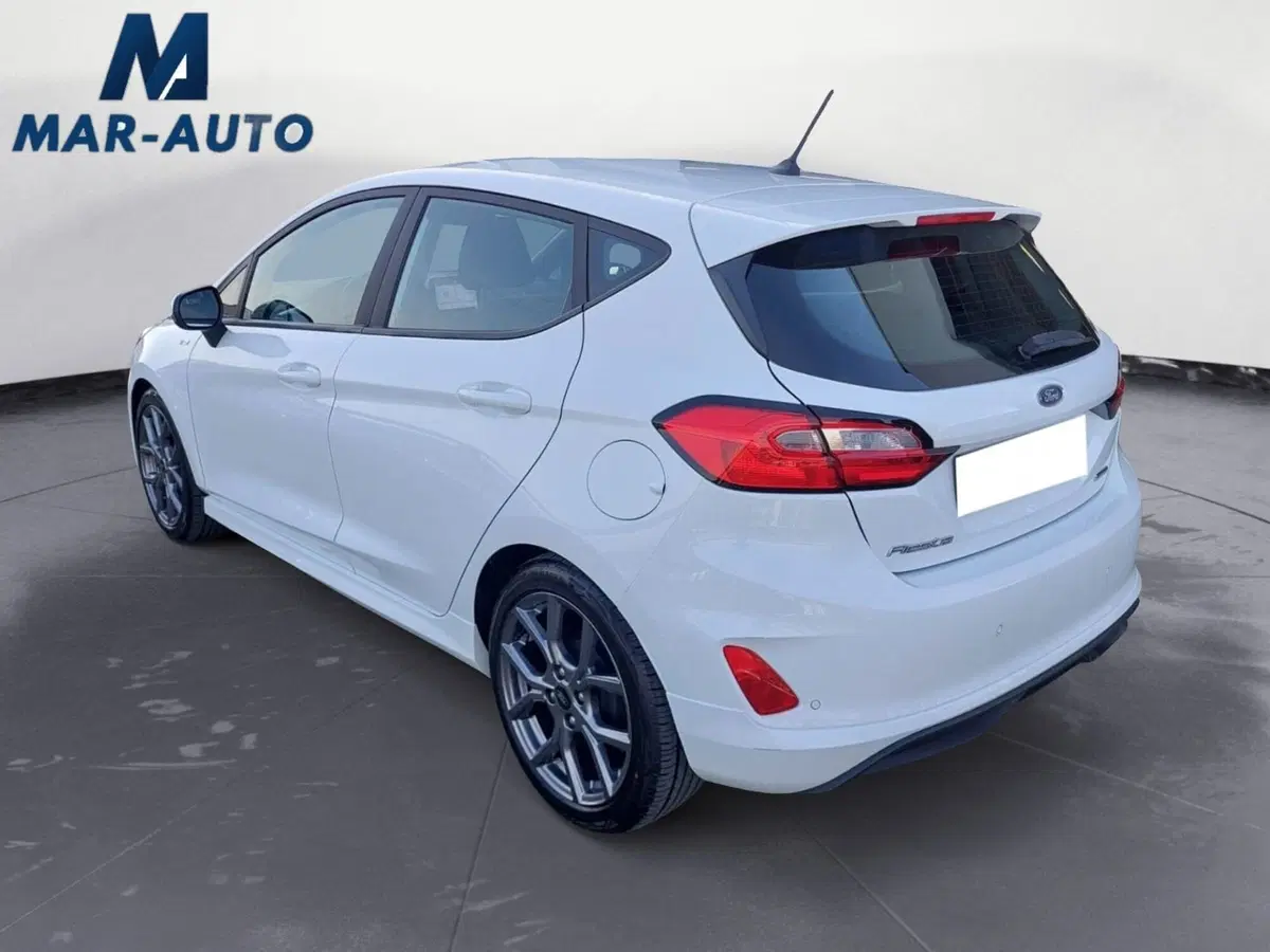 Ford Fiesta usata a Treviso (2)