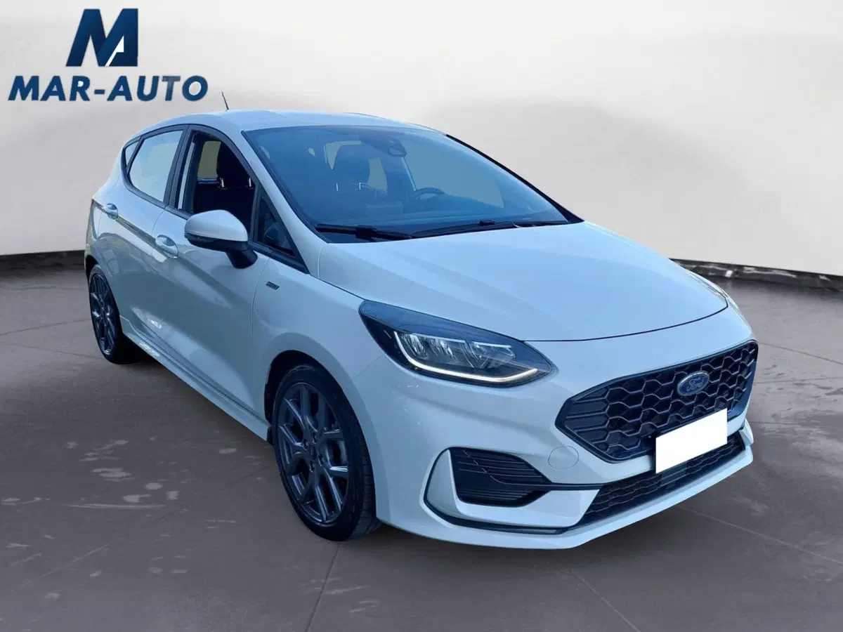 Ford Fiesta usata a Treviso (4)