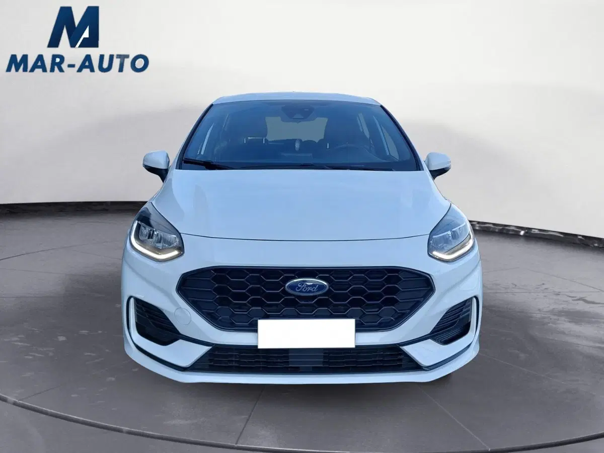 Ford Fiesta usata a Treviso (5)