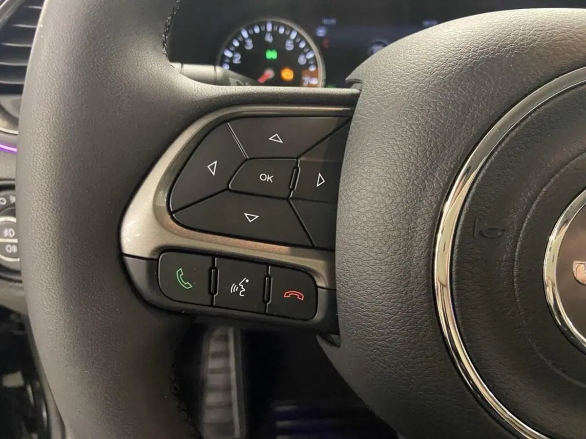 Jeep Renegade usata a Torino (13)
