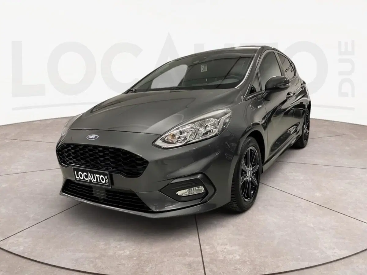 Ford Fiesta usata a Torino