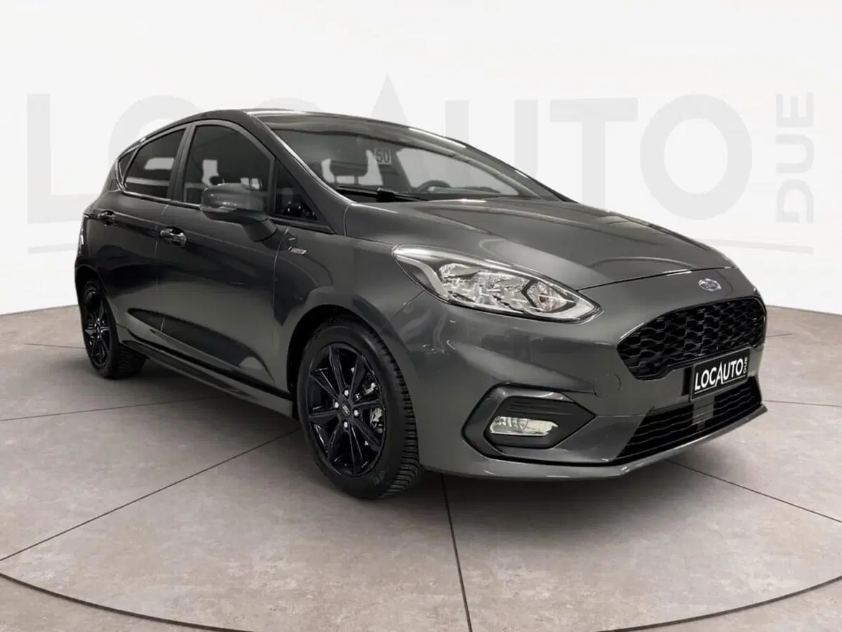 Ford Fiesta usata a Torino (2)