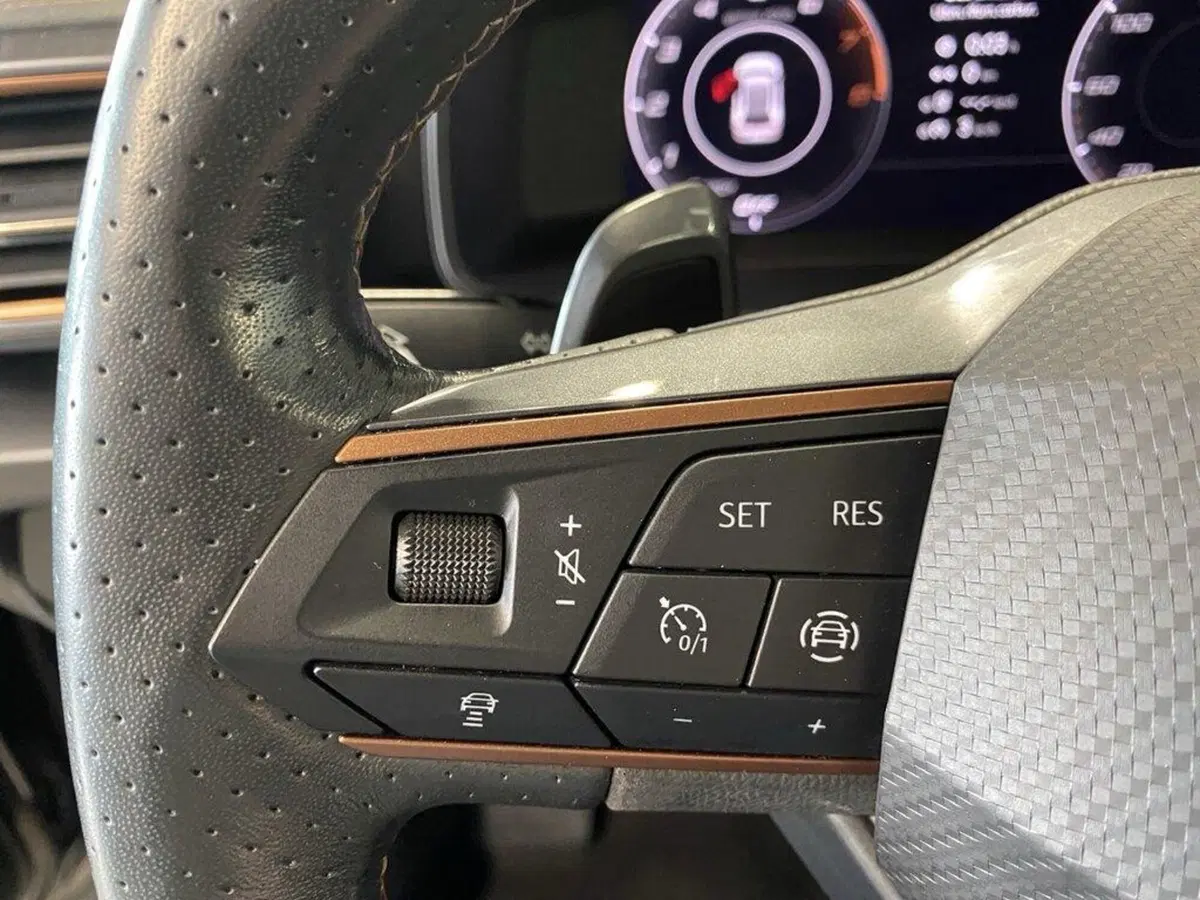 Cupra Formentor usata a Torino (12)