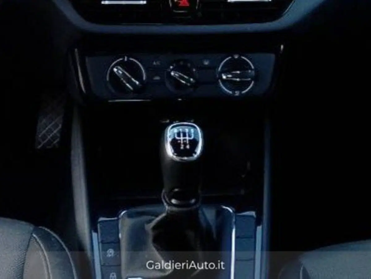 Skoda Fabia usata a Salerno (20)