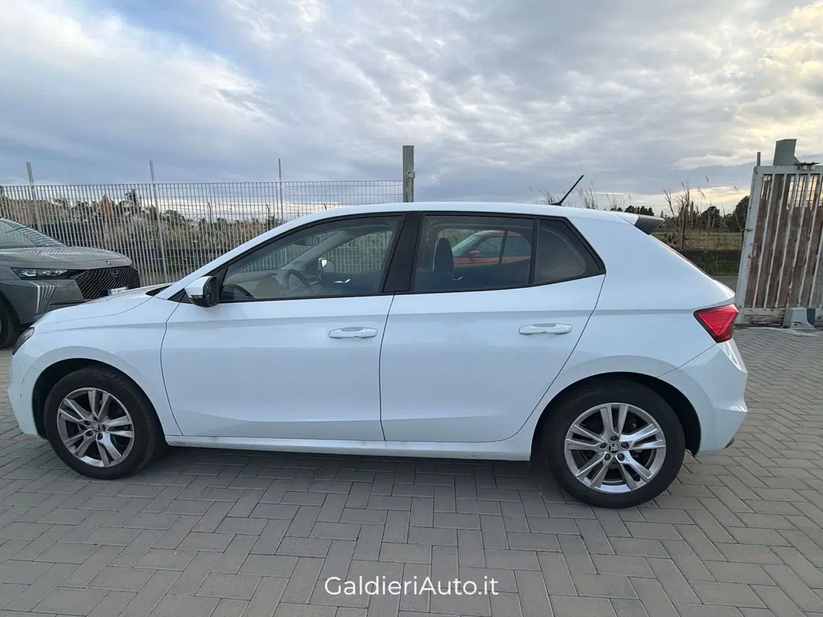 Skoda Fabia usata a Salerno (10)