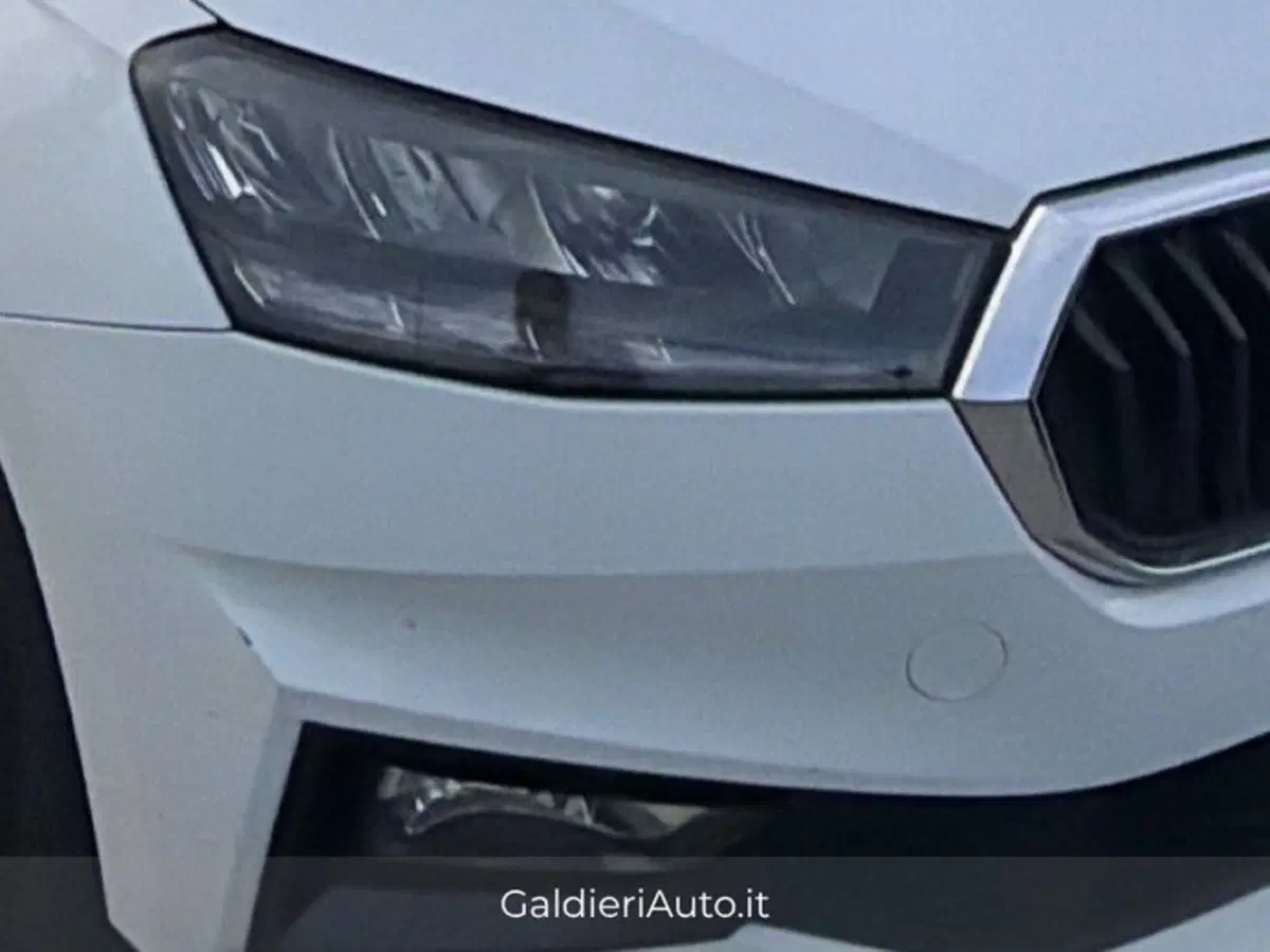 Skoda Fabia usata a Salerno (19)