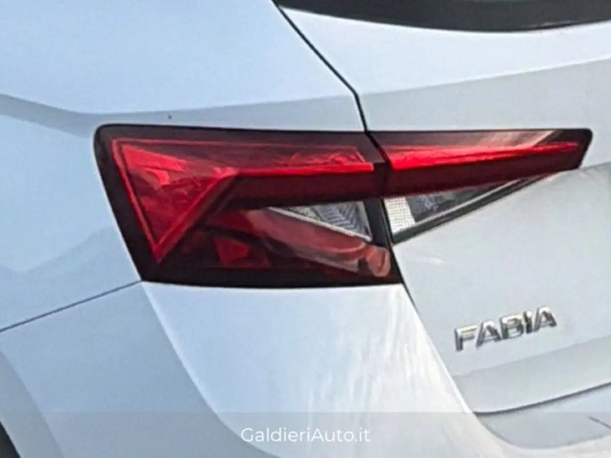 Skoda Fabia usata a Salerno (20)