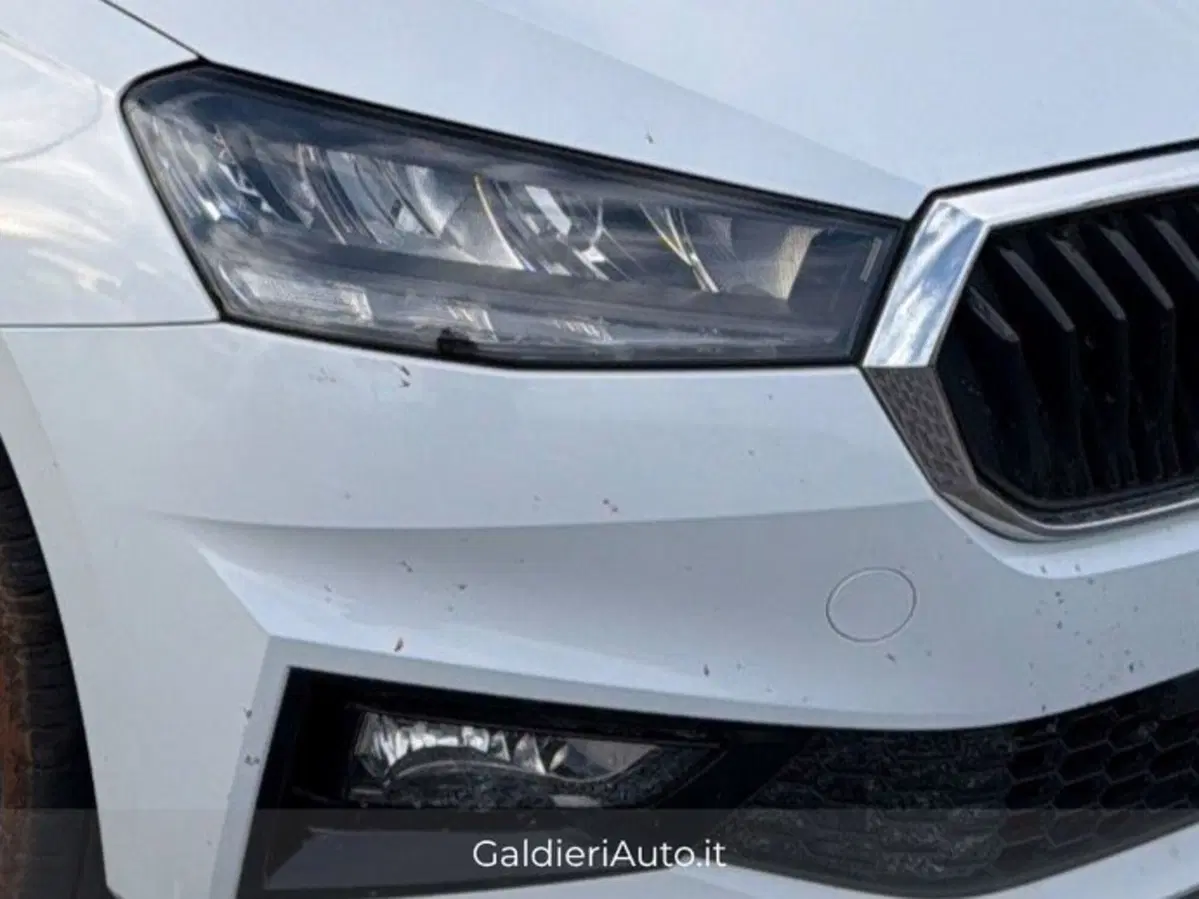 Skoda Fabia usata a Salerno (20)