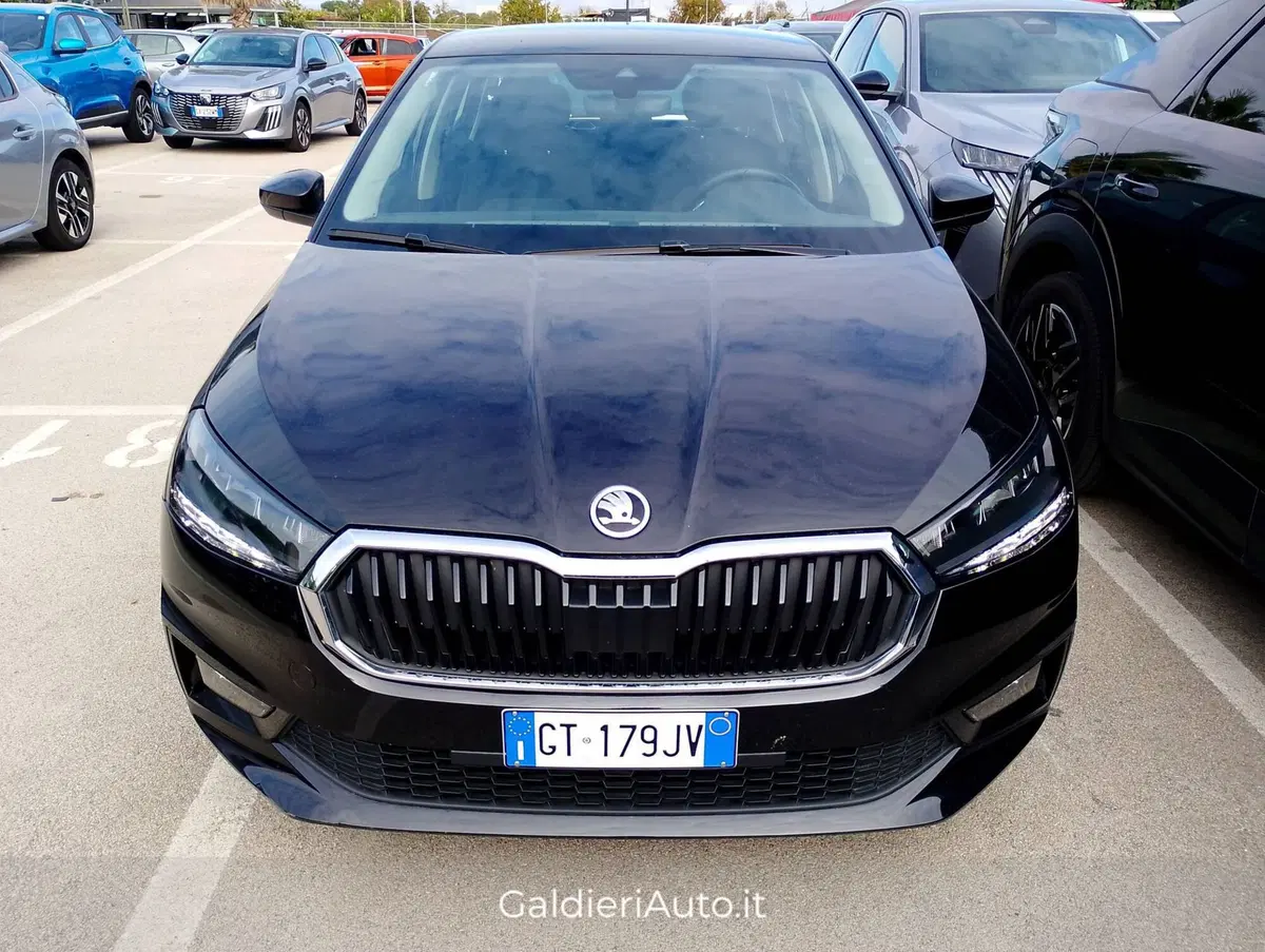 Skoda Fabia usata a Salerno (19)