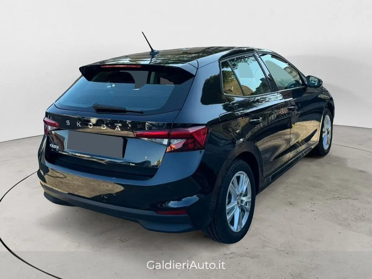 Skoda Fabia usata a Salerno (4)