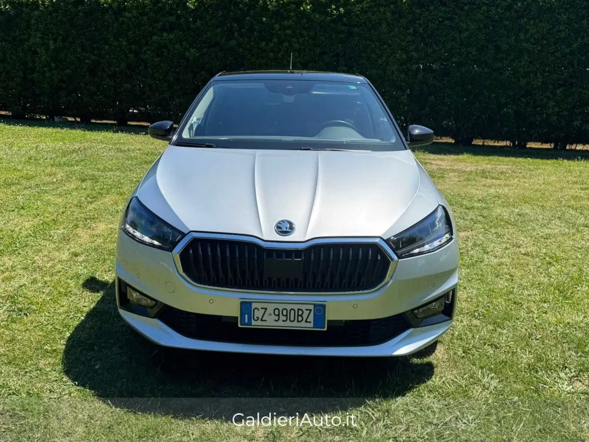 Skoda Fabia usata a Salerno (9)