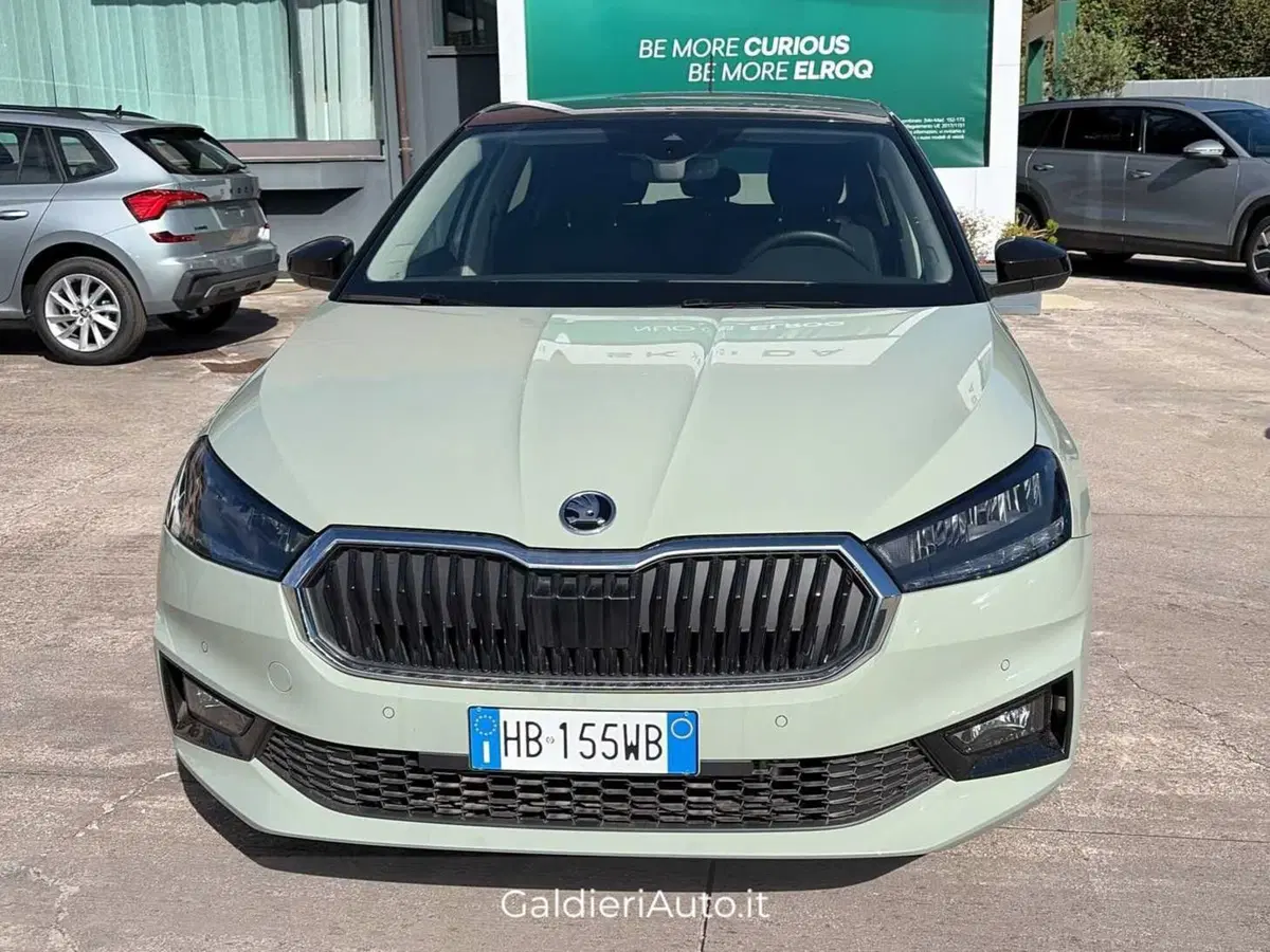 Skoda Fabia usata a Salerno (2)