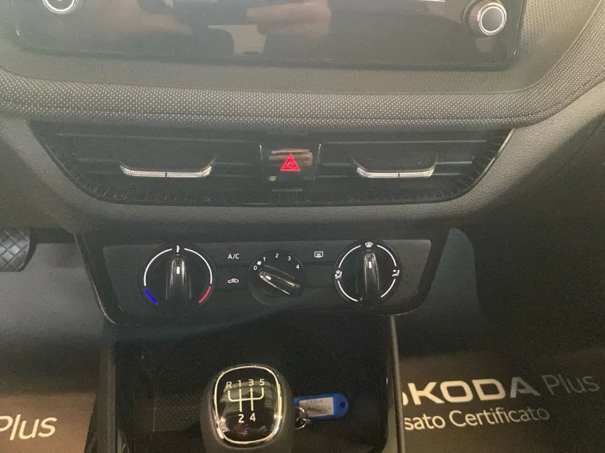 Skoda Fabia usata a Reggio Calabria (15)