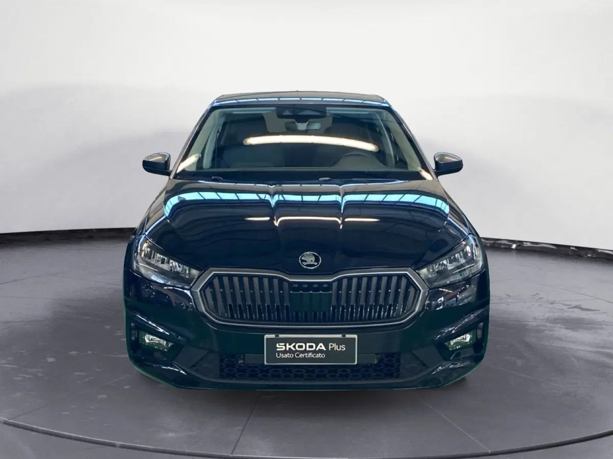 Skoda Fabia usata a Reggio Calabria (2)